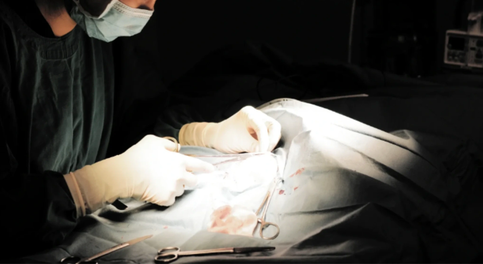 Veterinary team performing a surgical procedure